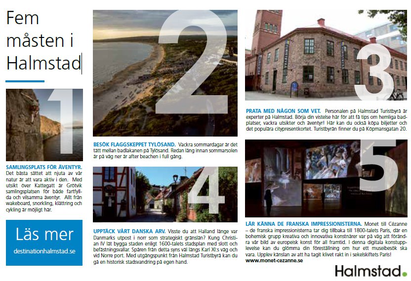 Fem måsten i Halmstad
