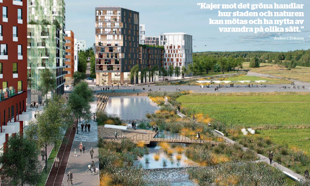 Kajer mot det gröna