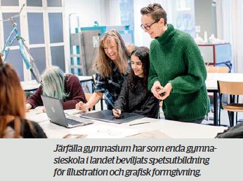 Grafisk utbildning med spets
