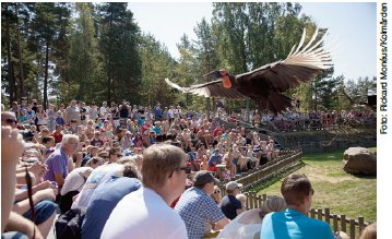 Kolmårdens Djurpark ”VÅRT MÅL ÄR ATT NÅ 1 MILJON BESÖKARE”