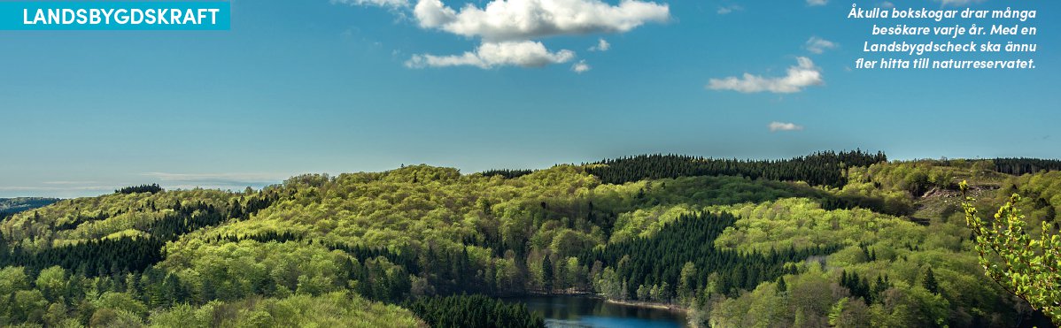 Nya strategier ger utvecklingskraft till landsbygden