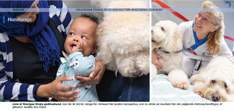Unik studie öppnar för behandling med sjukhushundar