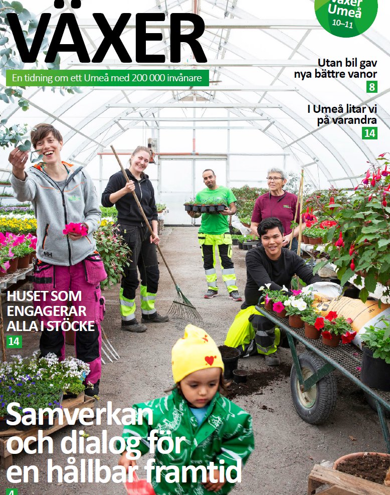 Nu plockas fuchsiorna in i värmen