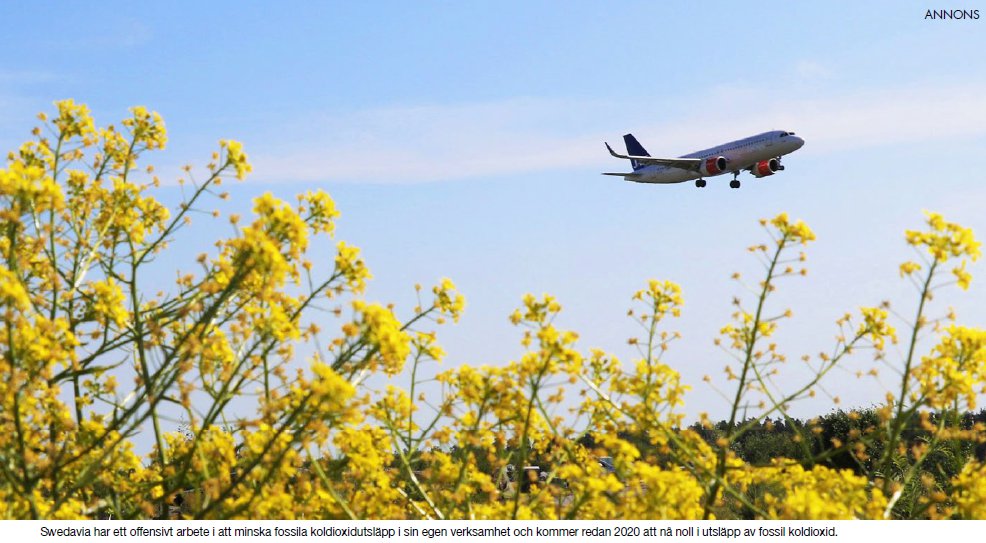 ”Välj biobränsle och skäms inte över att flyga inrikes i Sverige ”
