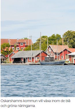 En landsbygd med affärsidéer