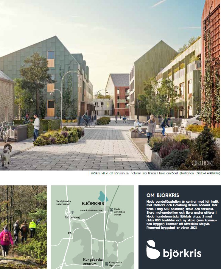 Björkris – Med plats för för livets alla äventyr