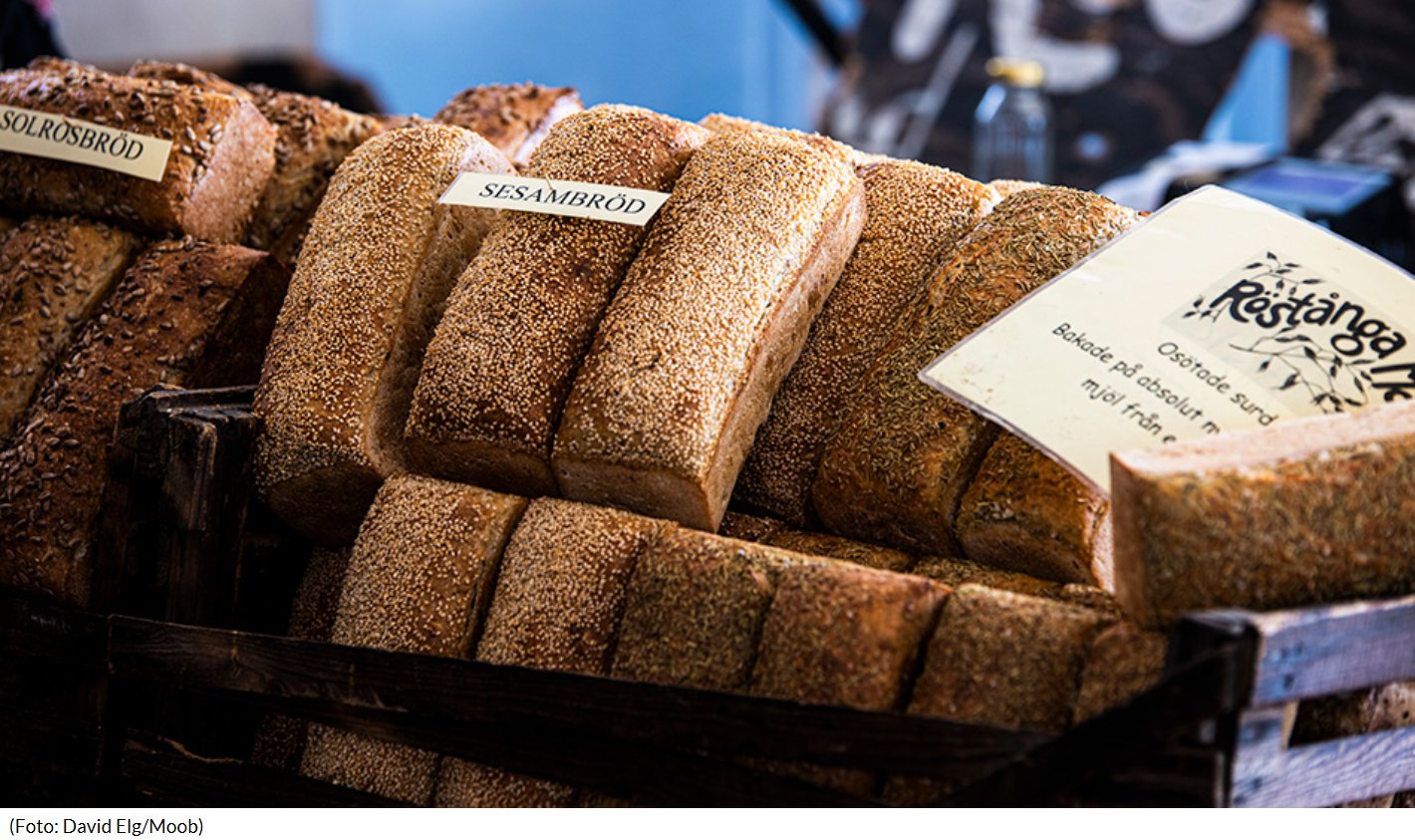 Skånes Matfestival – succén kommer tillbaka