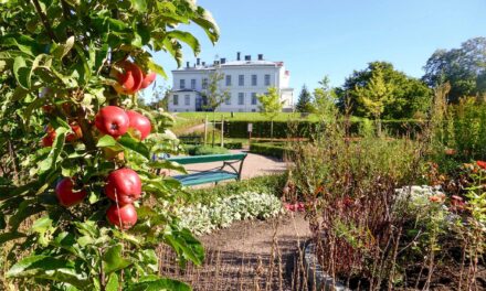 Jonsereds trädgårdar – från sly och taniga träd till Partilles pärla