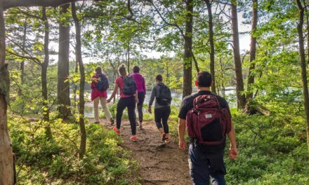 Friluftslivet finns runt knuten med vandringleder för alla smaker