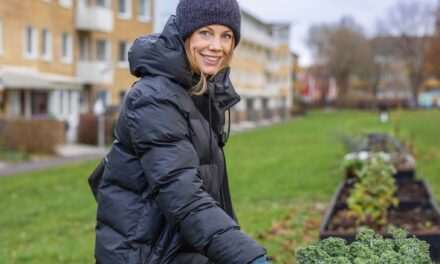 Odlingslotter skapar grön gemenskap