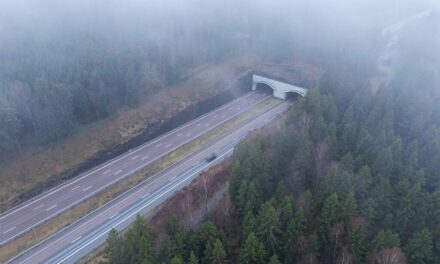 Jeriko industriområde: Nya företag och miljöskydd hand i hand