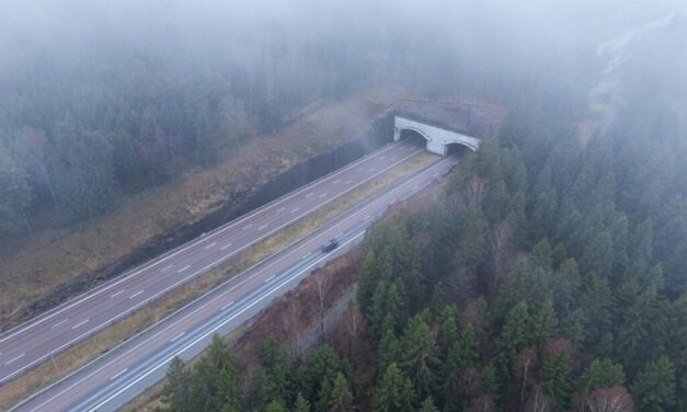 Jeriko industriområde: Nya företag och miljöskydd hand i hand