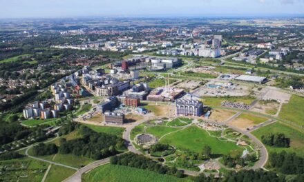 Sköna vackra parker viktiga för dagvattnet