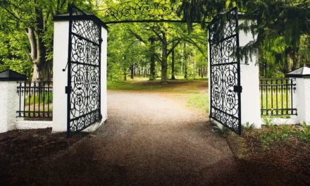 Din guide till Ekerös pärlor