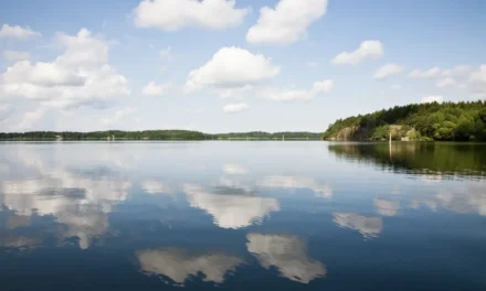 Vatten berör oss alla, varje dag, året om
