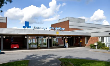 Handen får nytt stort närsjukhus
