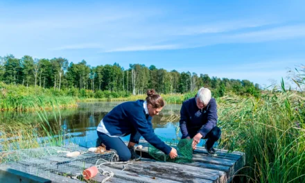 Initiativ Utös våtmarksprojekt ger nytt hopp om ett levande Östersjön
