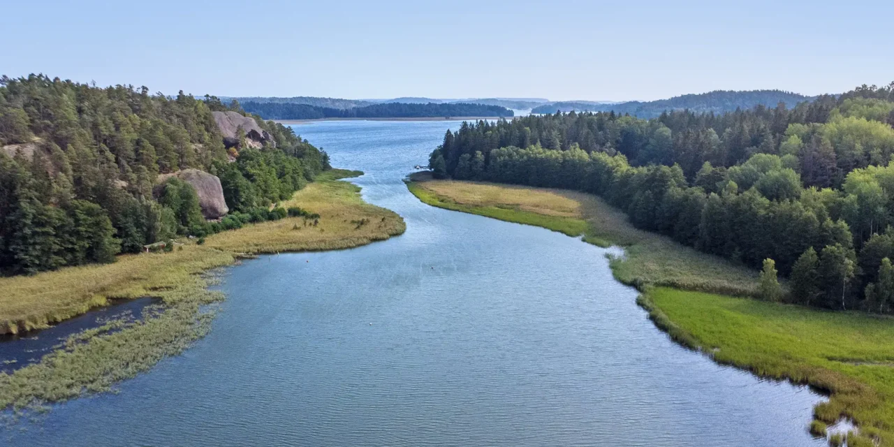 Från morgondopp till pendeltåg – därför väljer fler Haninge