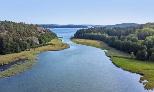 Från morgondopp till pendeltåg – därför väljer fler Haninge
