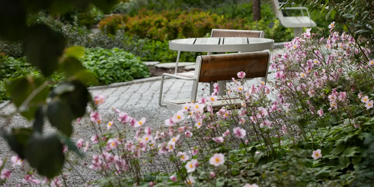 Grönare och tryggare stadsmiljö i Vega