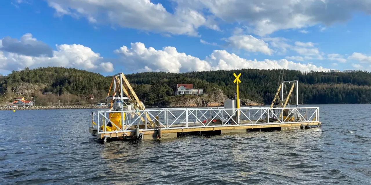Nu är torsken tillbaka i Byfjorden