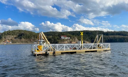 Nu är torsken tillbaka i Byfjorden